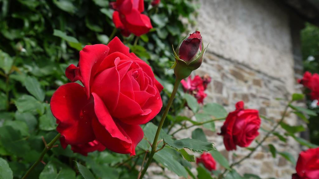 Maternushof Otel Pomster Dış mekan fotoğraf